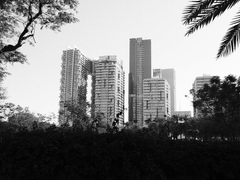High Contrast Roll
